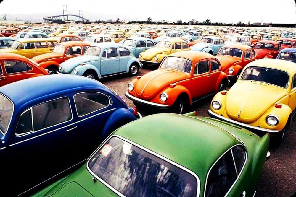 1302 Super Beetles along with Karmann Ghias and a Type 3 Squareback